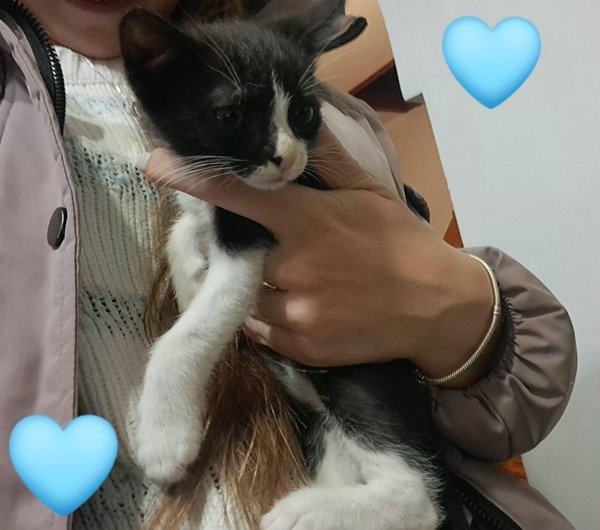 Ангелче номер 1